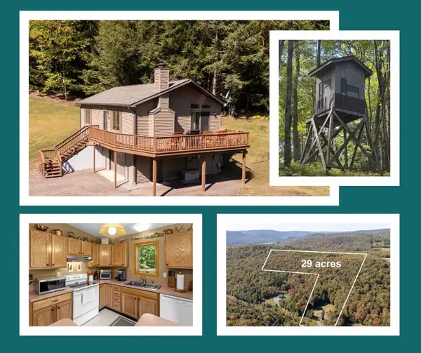 815 Covert Hollow Road, Hamden, NY 13782