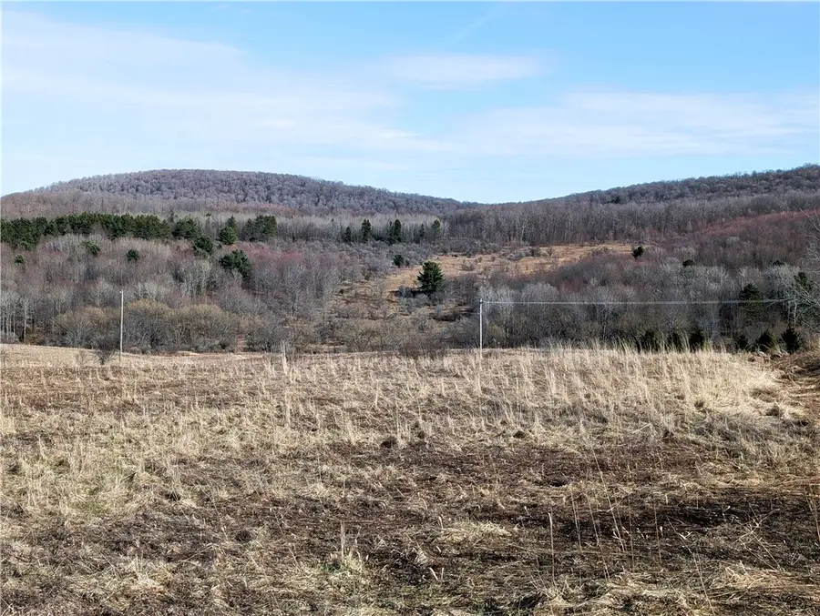 1525 Beaver Hill Road, Wellsville, NY 14895 - #2