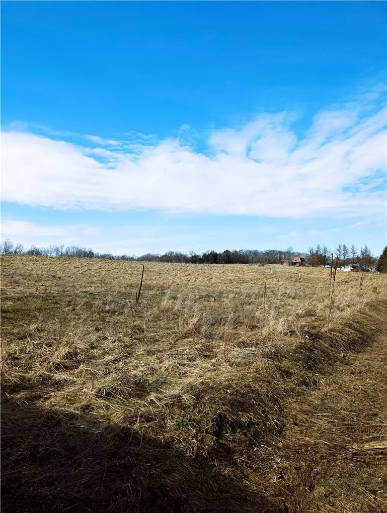 1525 Beaver Hill Road, Wellsville, NY 14895 - #3