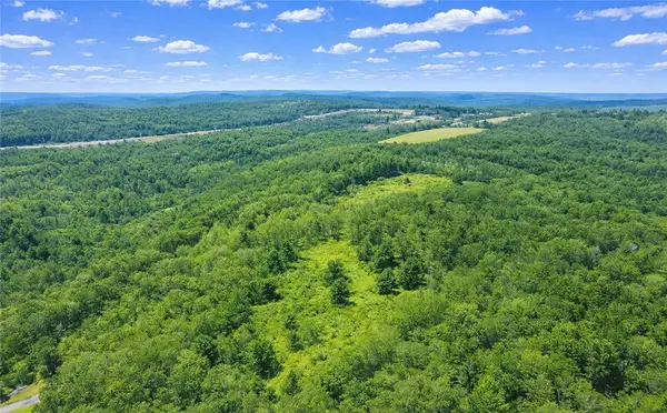 Sam Brown Road, Barton, NY 14859