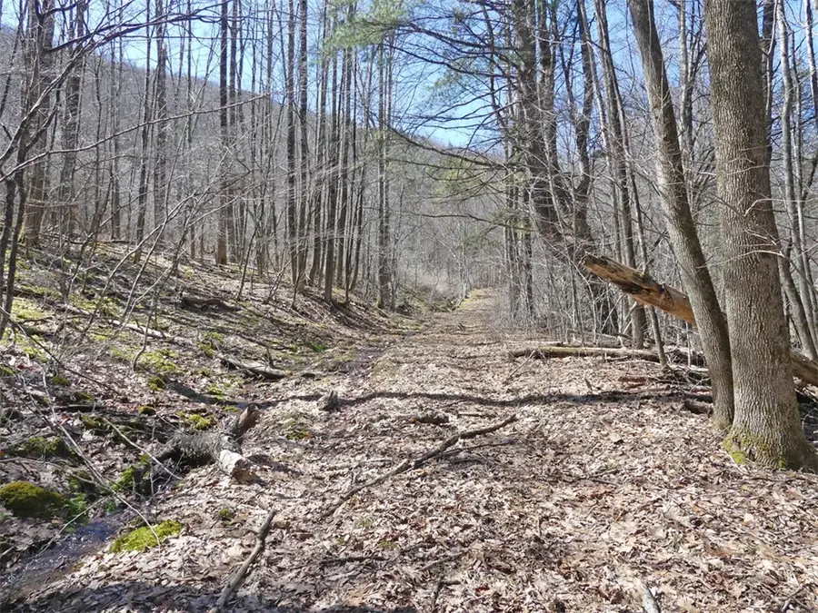 5565 Beech Hill Road, Andes, NY 13731 - #2