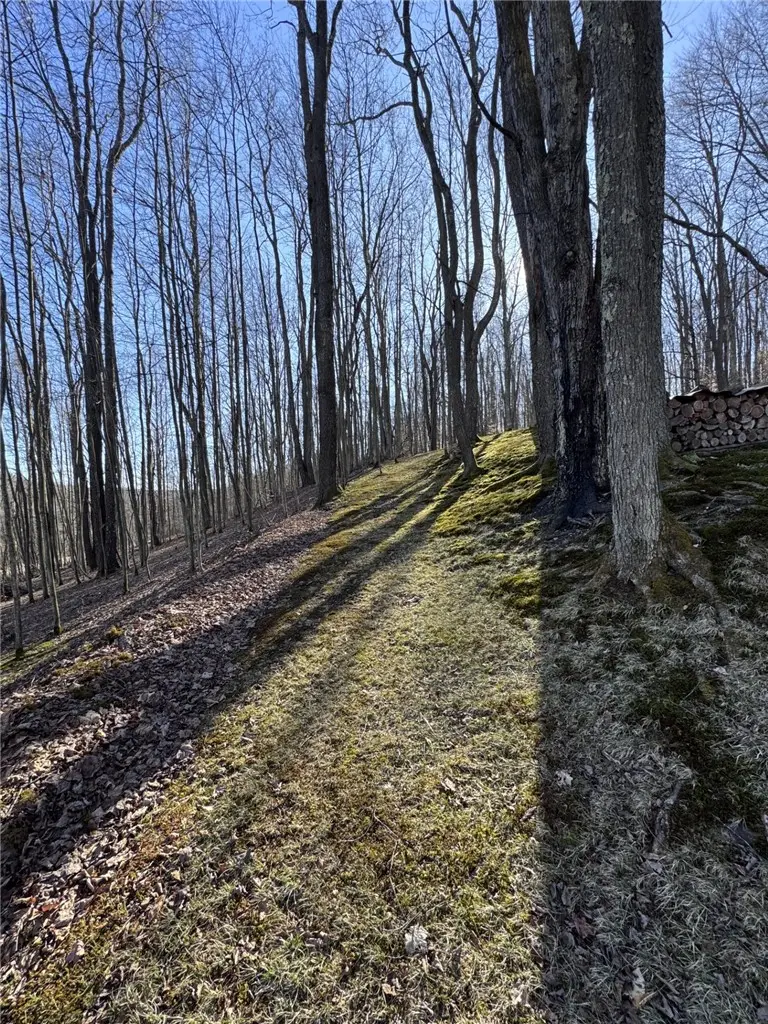 725 Red Mill Road, Smethport, PA 16749 - #2