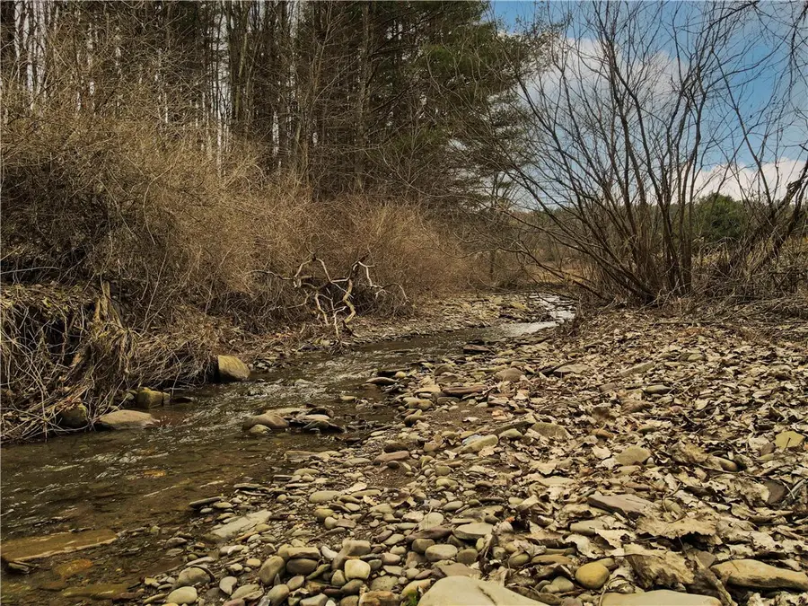 1975 State Highway 8, Mount Upton, NY 13809 - #3