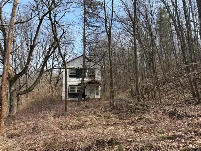 5440 Wilkinson Road, Hector, NY 14841 - #2