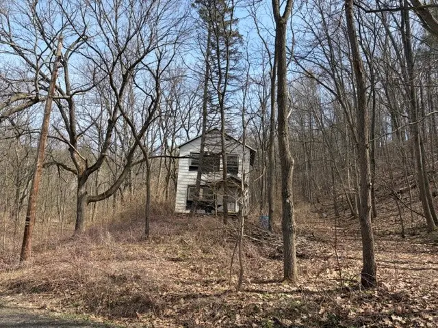 5440 Wilkinson Road, Hector, NY 14841 - #3