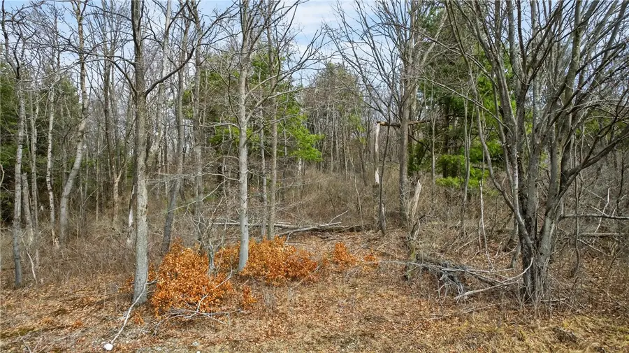 1351 Wollock Road, Watkins Glen, NY 14891 - #2