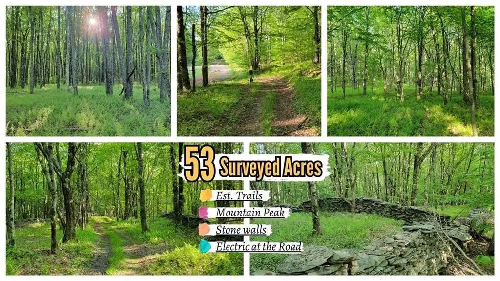 Jim Lane Road, Bovina Center, NY 13740 - #1