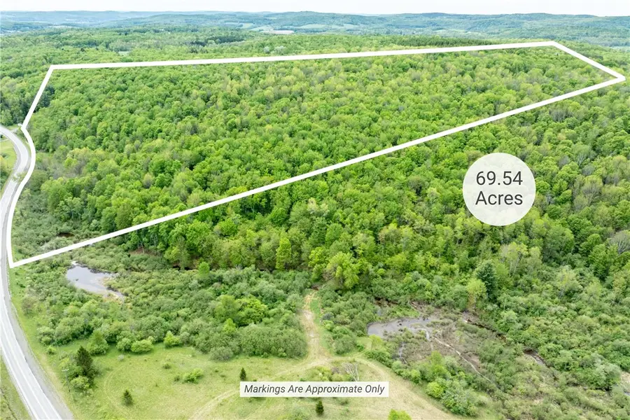 County Road 24, Columbus, NY 13411 - #3