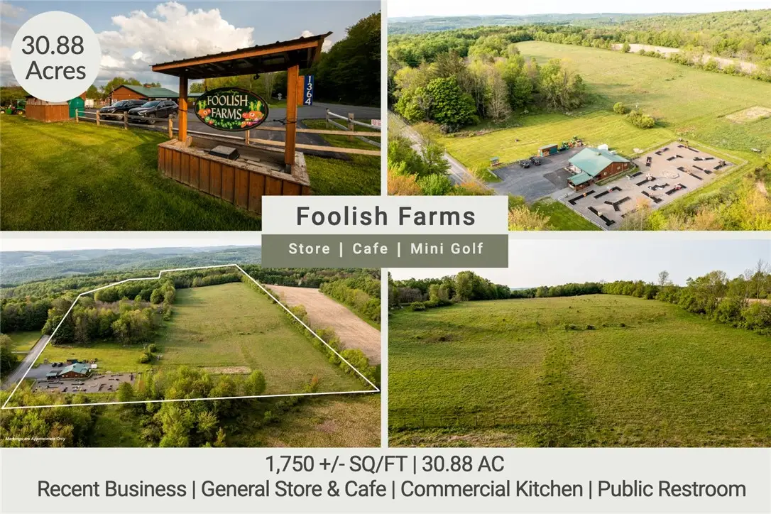 1364 County Highway 12, Mount Vision, NY 13810 - #1
