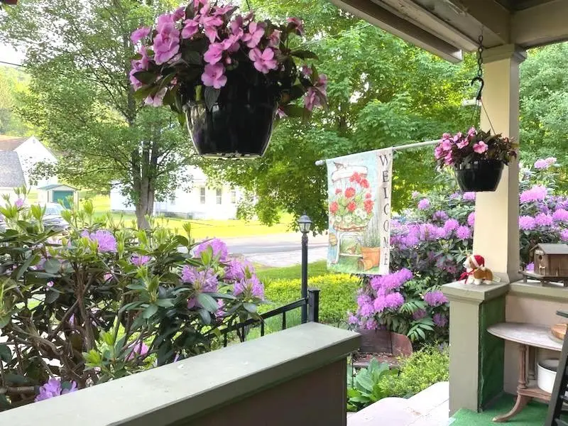 312 Broad Street, Port Allegany, PA 16743 - #2