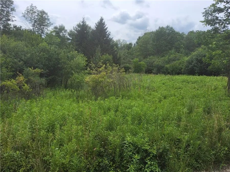 108 Scott Avenue, Wellsville, NY 14895 - #2