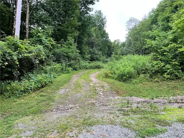 0 Marvin Hollow Road, Walton, NY 13856