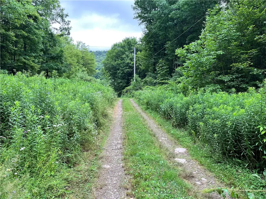 0 Marvin Hollow Road, Walton, NY 13856 - #2