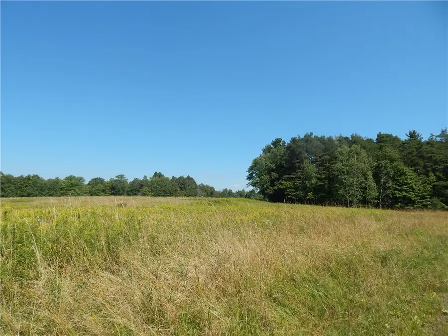 0 Sam Holdridge Road, West Burlington, NY 13482 - #2