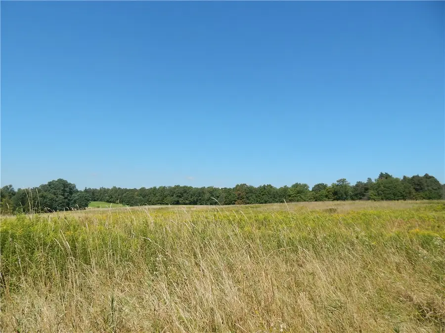 0 Sam Holdridge Road, West Burlington, NY 13482 - #3