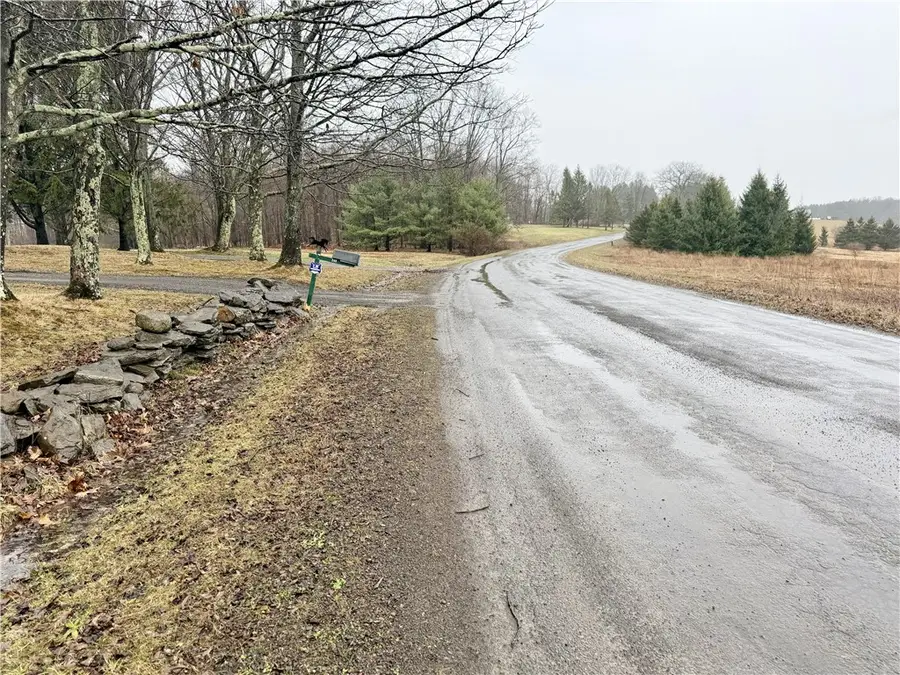 243 Mumbulo Road, Edmeston, NY 13335 - #3