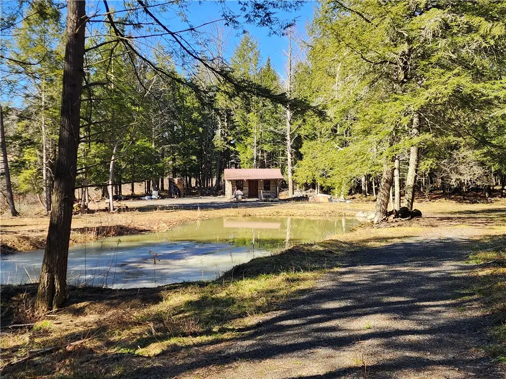 147 Buck Road, Fly Creek, NY 13337 - #1