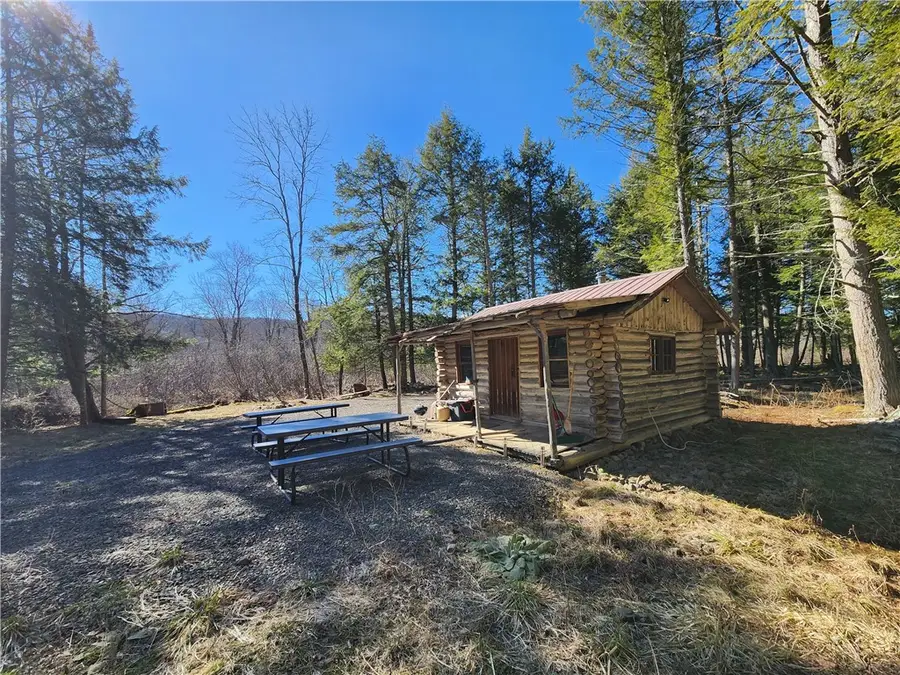 147 Buck Road, Fly Creek, NY 13337 - #2