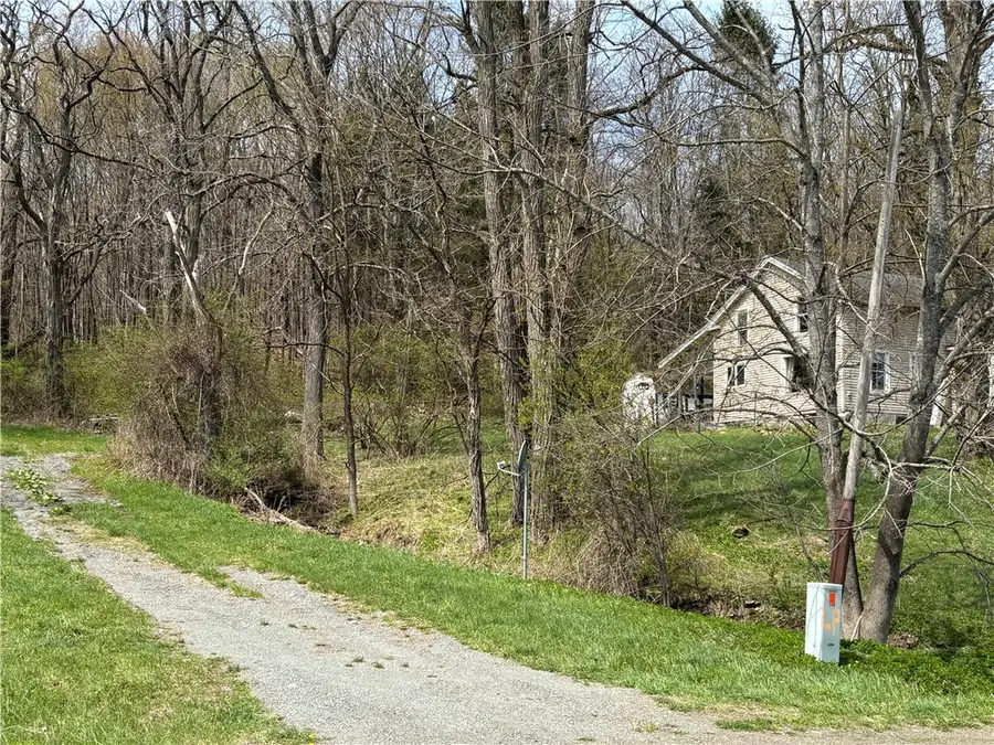 694 Wilber Lake Road, Oneonta, NY 13820 - #3