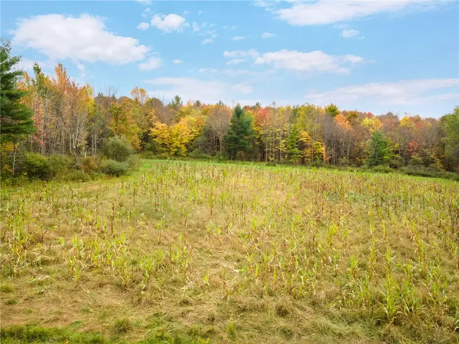 734 Post Road, Franklin, NY 13775 - #3