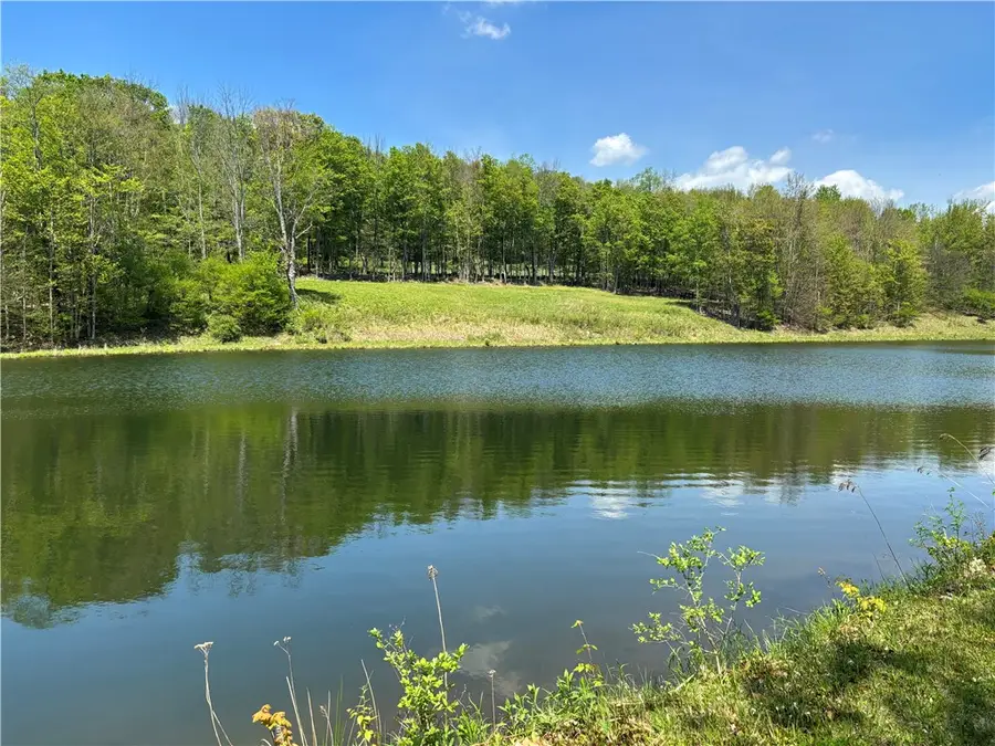 734 Post Road, Franklin, NY 13775 - #2