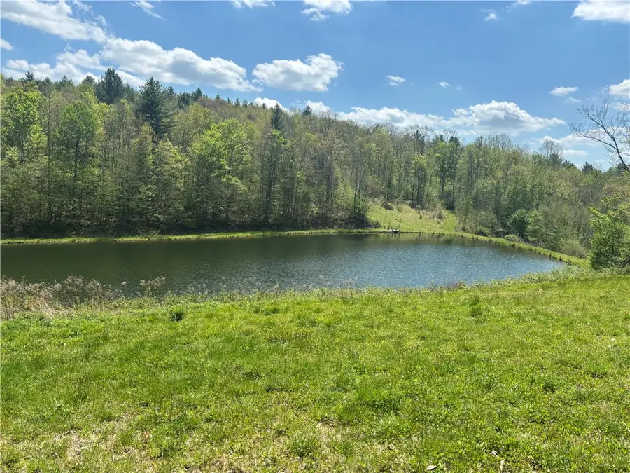 734 Post Road, Franklin, NY 13775 - #3