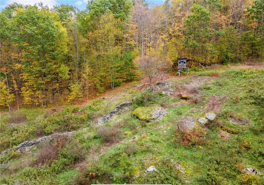 734 Post Road, Franklin, NY 13775 - #3