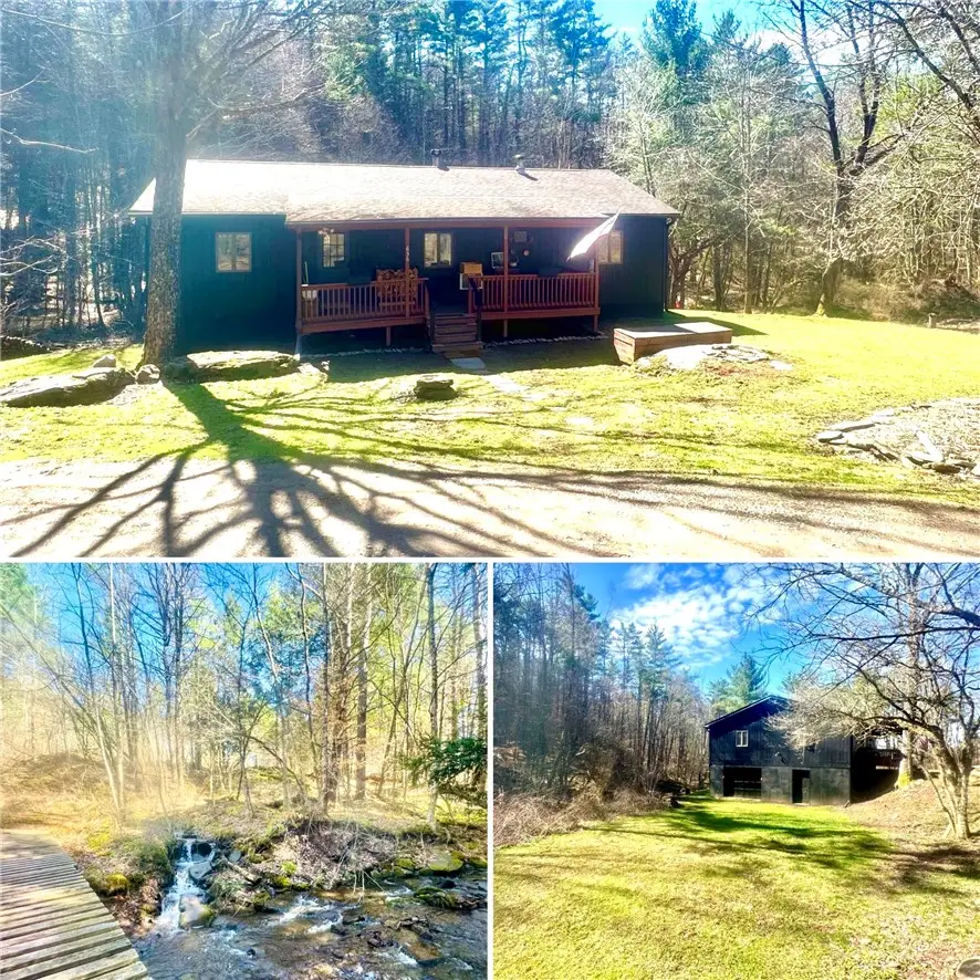 656 Grange Hall Road, Franklin, NY 13820 - #1