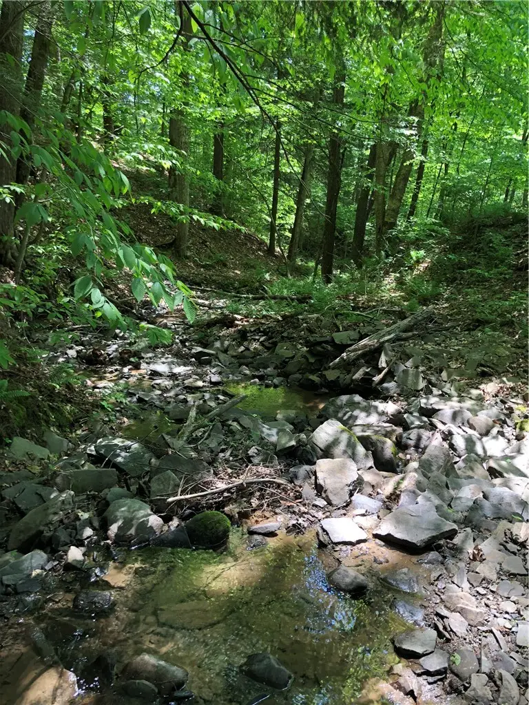 Dingman Hill Road, Bainbridge, NY 13733 - #2