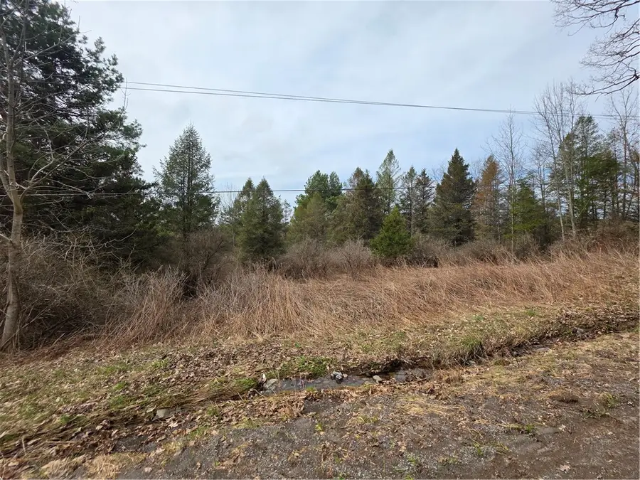 Dingman Hill Road, Bainbridge, NY 13733 - #3