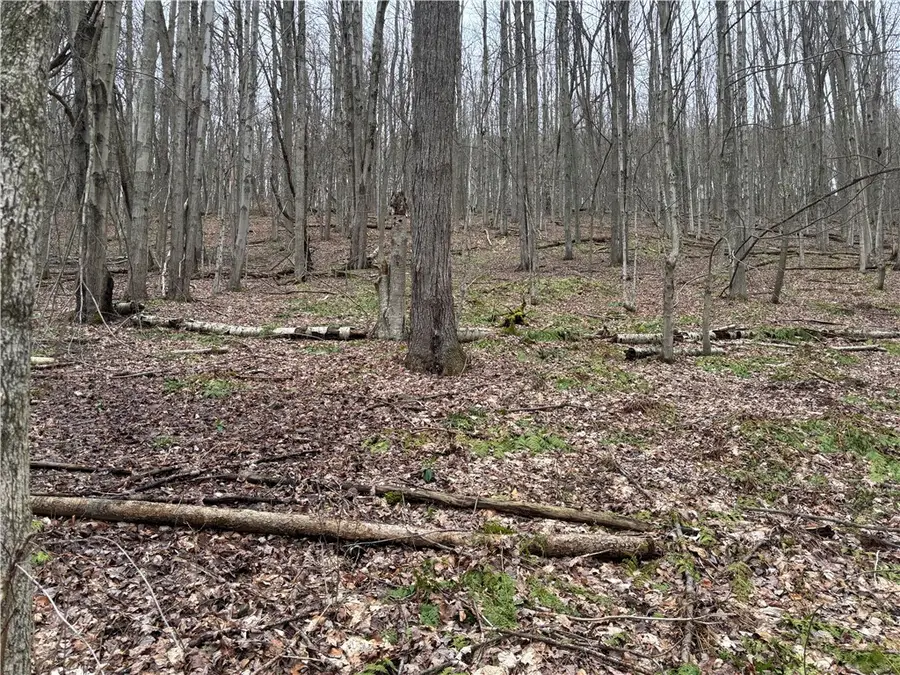 9446 County Route 9, Avoca, NY 14809 - #3