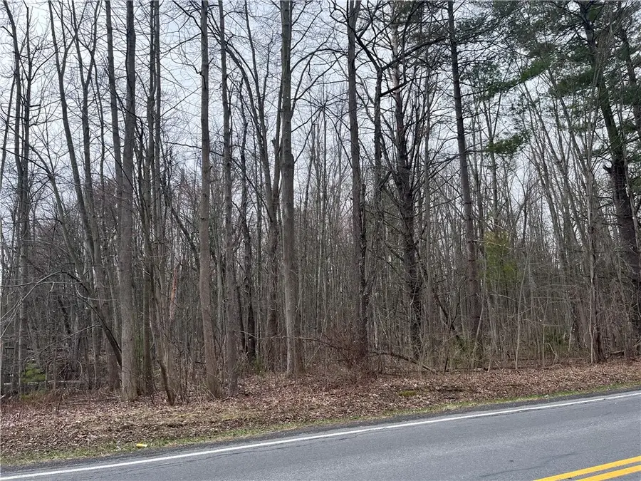 0 Packwood Road, Waterloo, NY 13165 - #2