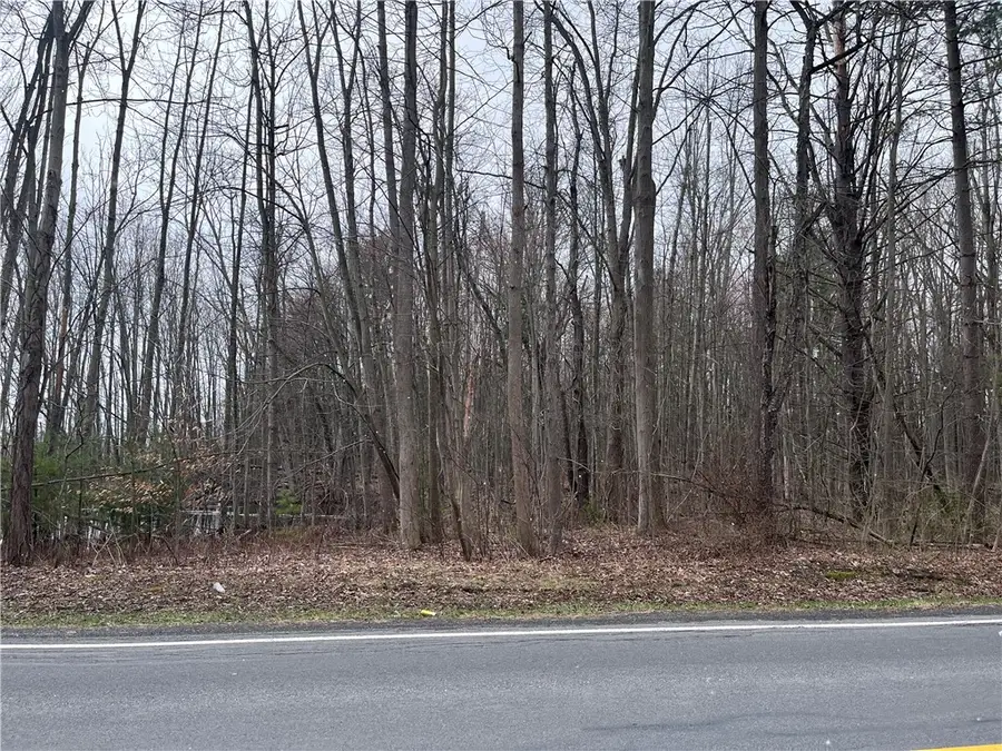 0 Packwood Road, Waterloo, NY 13165 - #3
