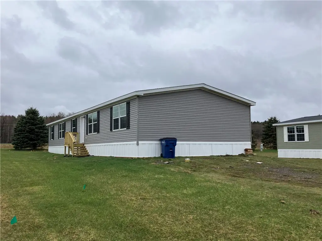 6003 Manley Drive, Red Creek, NY 13143 - #1