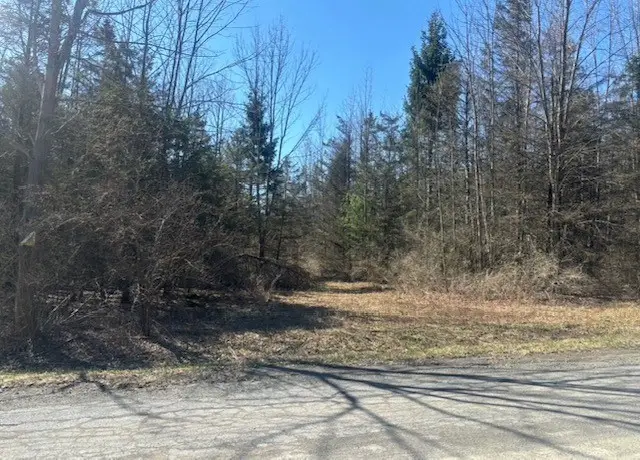 0 Hill Road, Ithaca, NY 14850 - #1