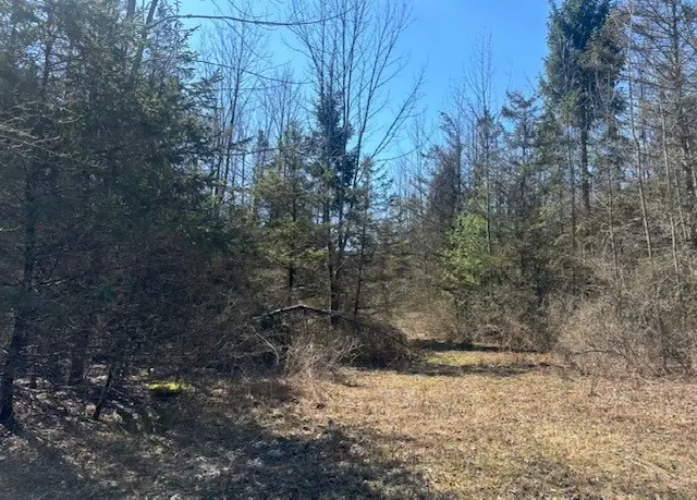 0 Hill Road, Ithaca, NY 14850 - #3