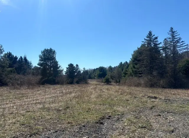 0 - Lot #2 Hill Road, Ithaca, NY 14850 - #2