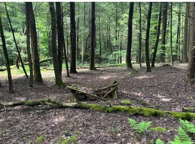 0 Hill Road, Ithaca, NY 14850 - #2