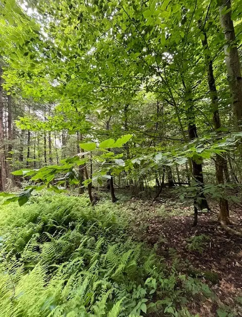 0 Hill Road, Ithaca, NY 14850 - #3