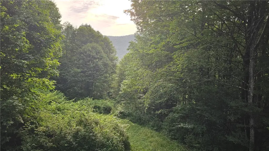 0 State Highway 8, Deposit, NY 13754 - #2