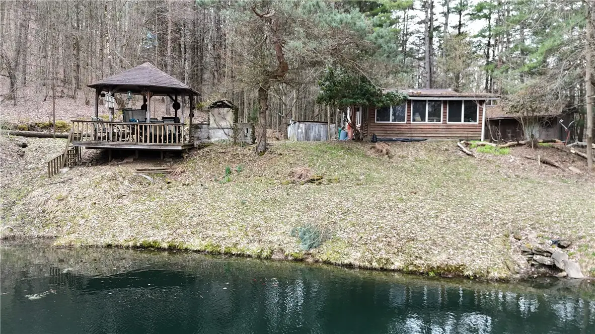 9675 Lafever Road, Cuba, NY 14727 - #1