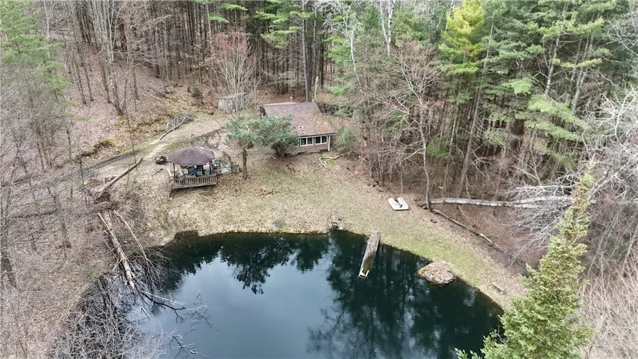 9675 Lafever Road, Cuba, NY 14727 - #2