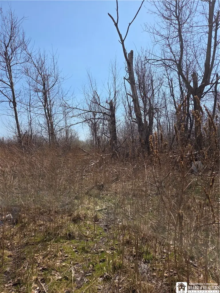 5281 Berry Road, Fredonia, NY 14063 - #3