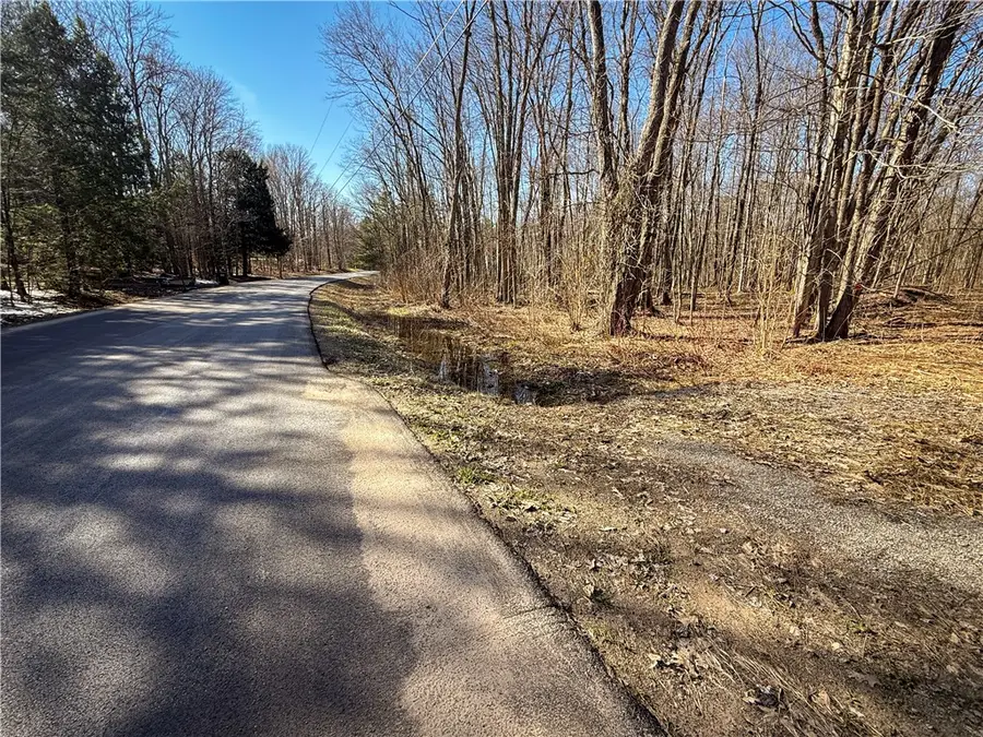 Paradise Road, Central Square, NY 13036 - #3