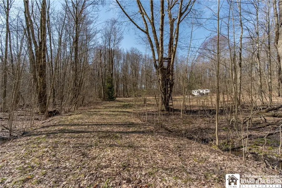 3675 Salisbury Road, Jamestown, NY 14701 - #2