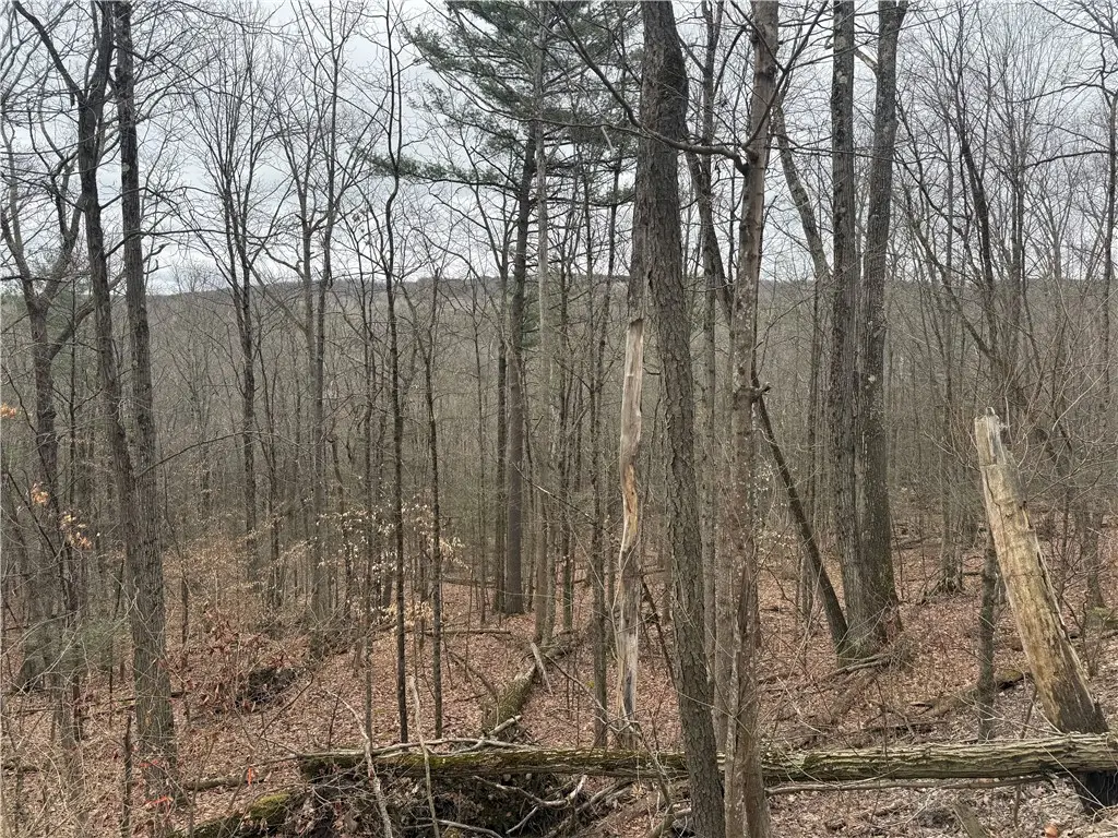 Winding Stair Road, Hammondsport, NY 14840 - #1