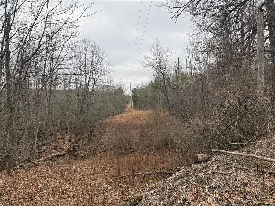 Winding Stair Road, Hammondsport, NY 14840 - #3