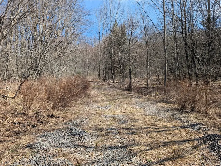 State Highway 28, Andes, NY 13731 - #3