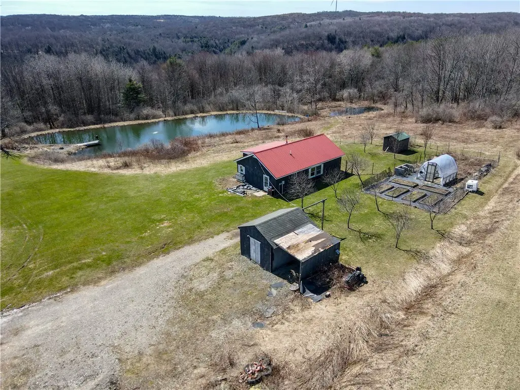1953 Cemetery Hill Road, Rexville, NY 14877 - #1