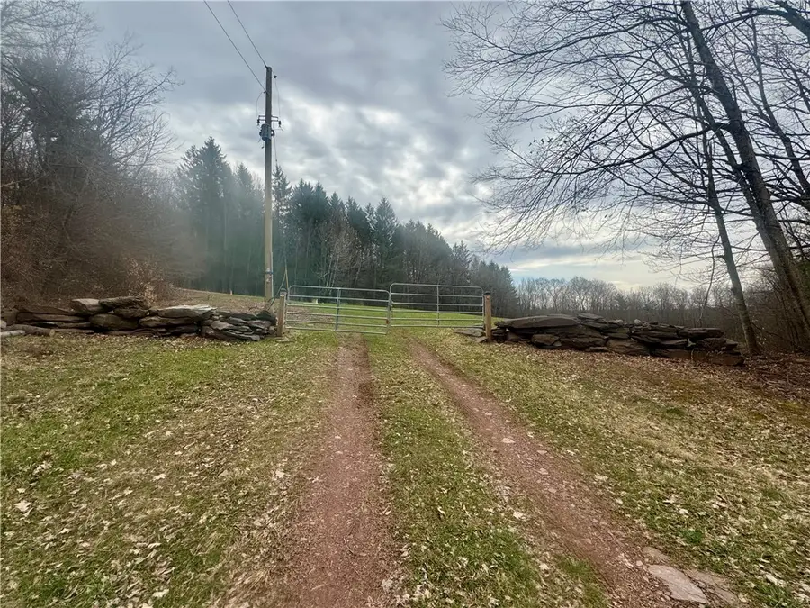 1980 Swart Hollow Road, Davenport, NY 13750 - #3